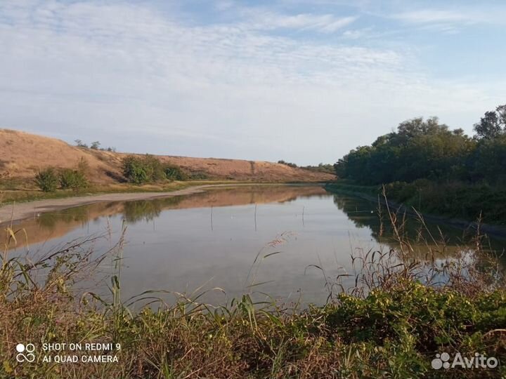 Недвижимость