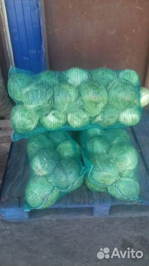 Сетка овощная напрямую от производителя