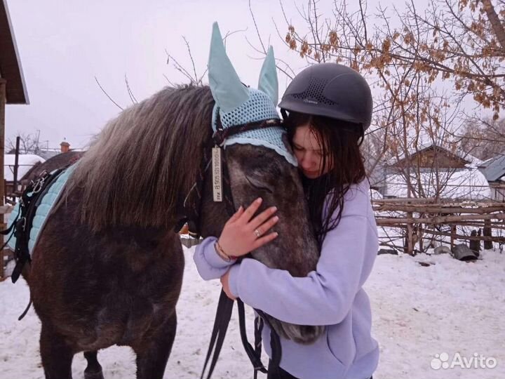 Выгул лошадей пони. Тренерство. Волонтерство