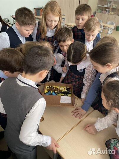 Выездная экскурсия «Мир живых бабочек»