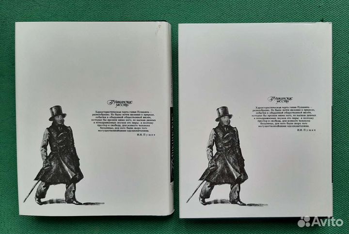 Пушкинские места. Путеводитель в двух частях. 1988