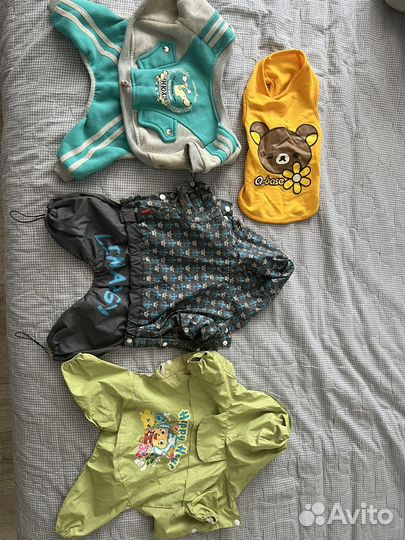 Одежда для собак пакетом