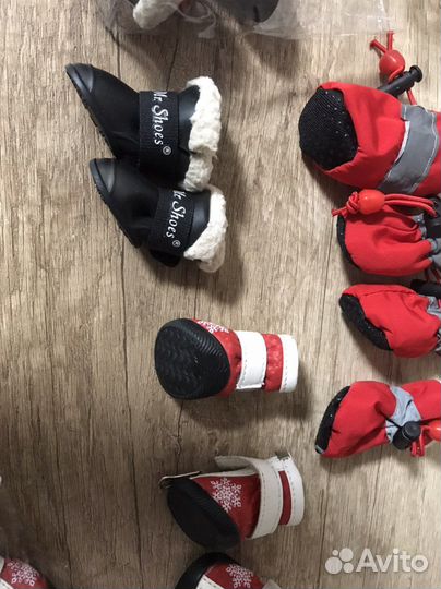 Ботинки для маленьких собак