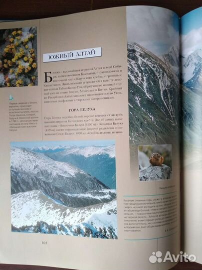 Энциклопедии