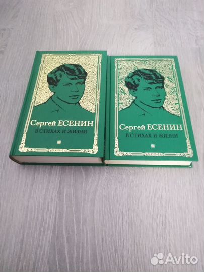 Поэзия книги