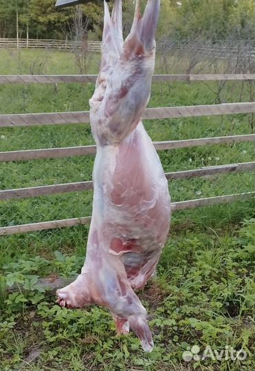 Фермерские продукты