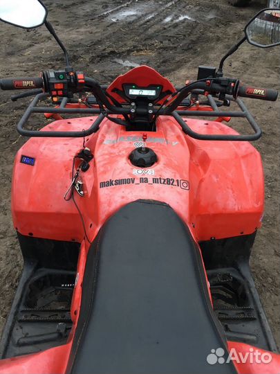 Ирбис атв250