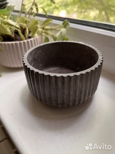 Набор из гипса