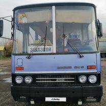 Междугородний / Пригородный автобус Ikarus 256, 2001