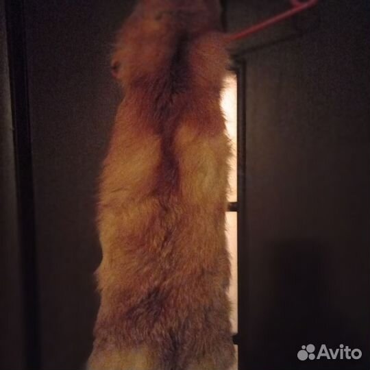 Лисья шкура