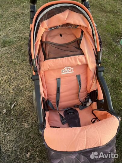 Коляска прогулочная rant