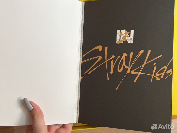 Stray kids альбом IN life