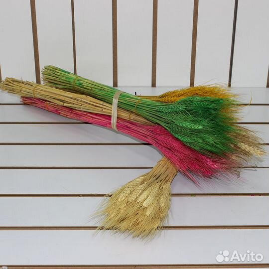 Сухоцветы Лагурус