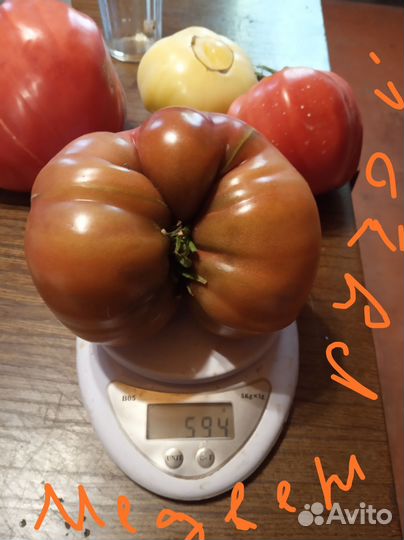 Семена томатов