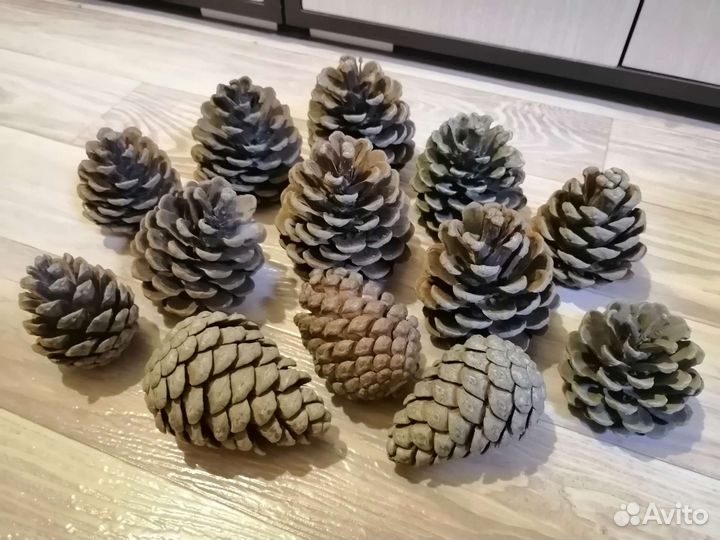 Шишки для поделок