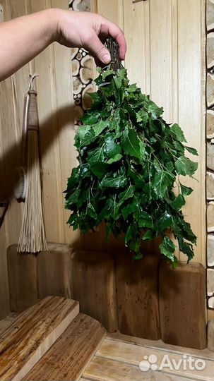 Березовые веники свежемороженые