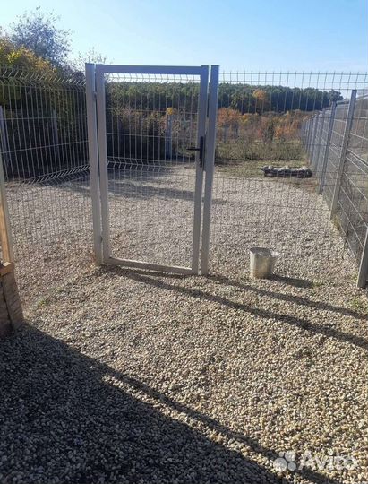 Передержка и дрессировка собак