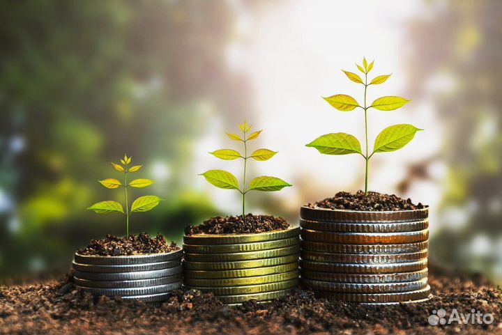 Инвестиции в ваш бизнес