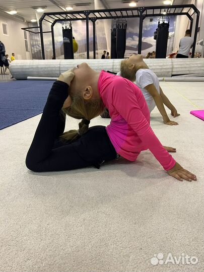 Художественная гимнастика