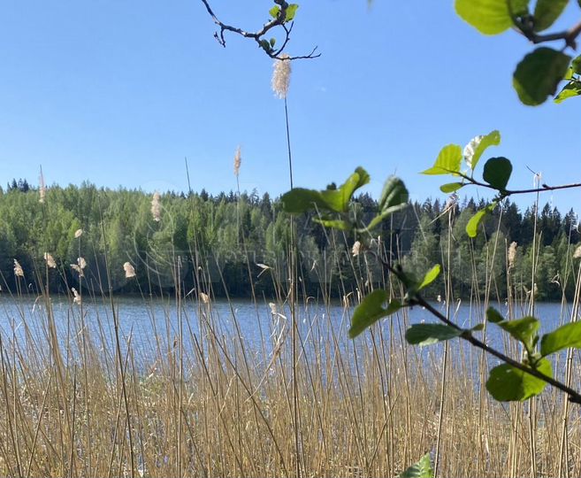 Участок 17,9 сот. (ИЖС)