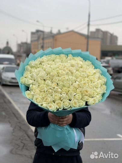 Белая Роза шикарная