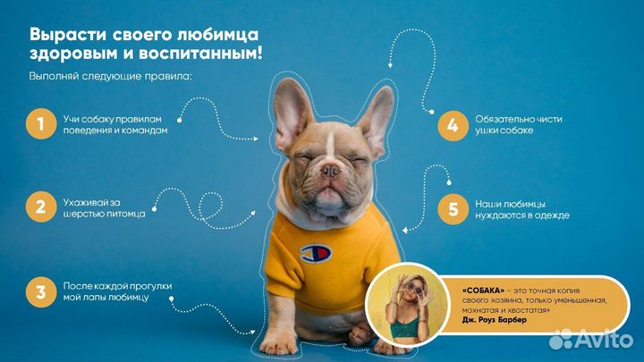 Создание презентаций