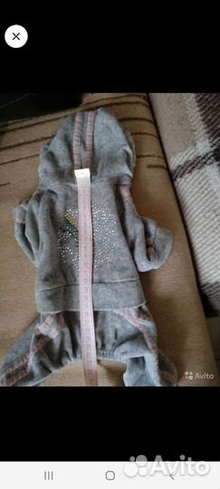 Велюровый костюм разм.S для собачки