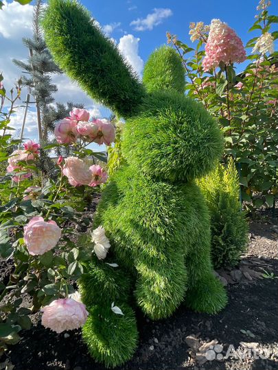 Фигура из газона