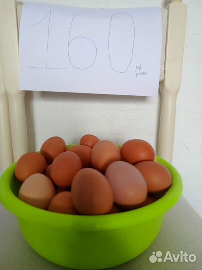 Домашние куриные яйца