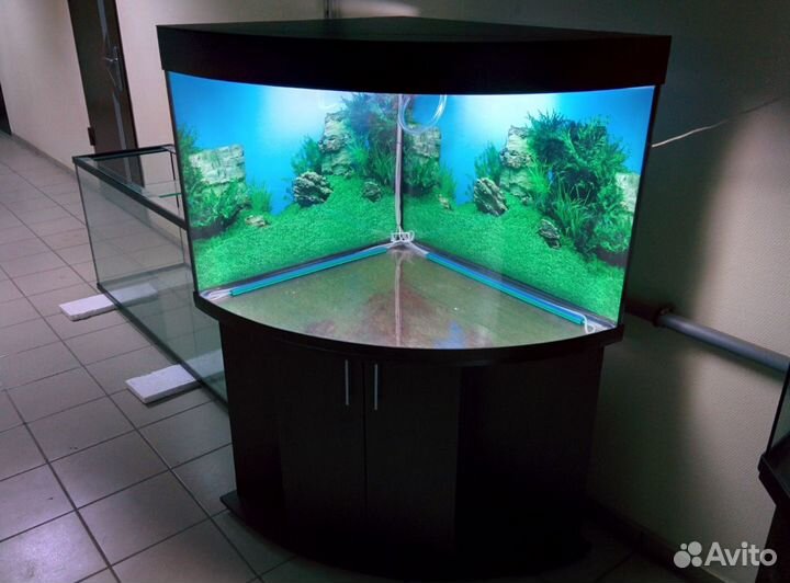 Аквариум 300л. угловой полукруглый, AguaStudio