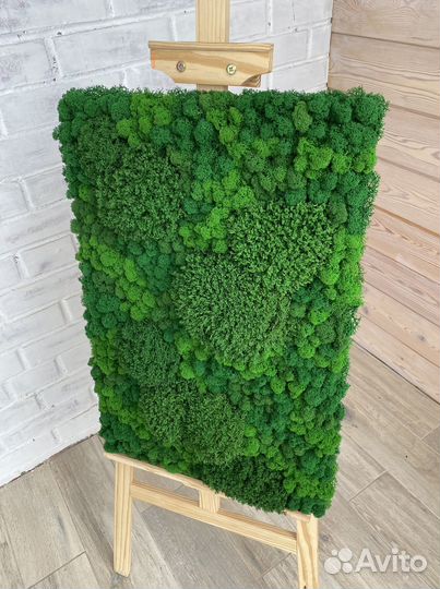 Панели из стабилизированного мха