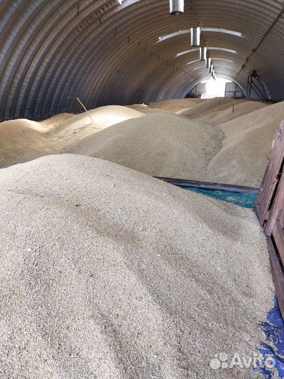 Продам Пшеницу, Ячмень