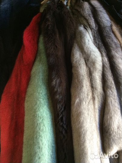 Выделка шкур дикой пушнины