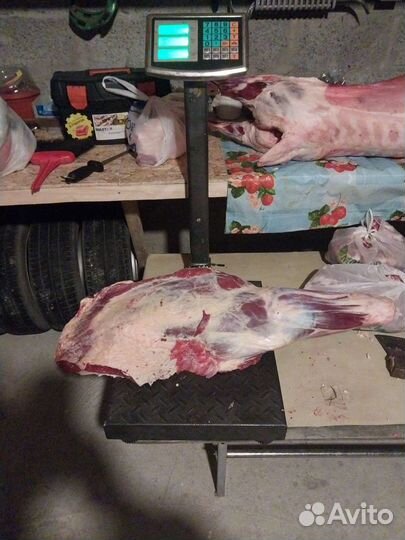 Мясо говядина баранина