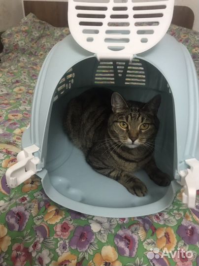 Переноска новая для животных