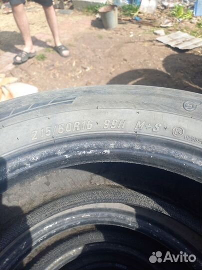 Maxxis Bravo HP-M3 215/60 R16 99H