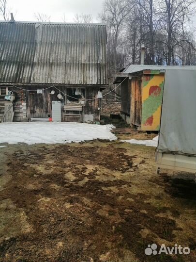 Продается пасека