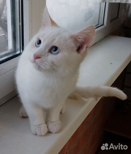 Мальчик красавчик