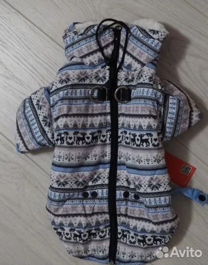 Шлейка ошейник комбинезон для чихуа-хуа