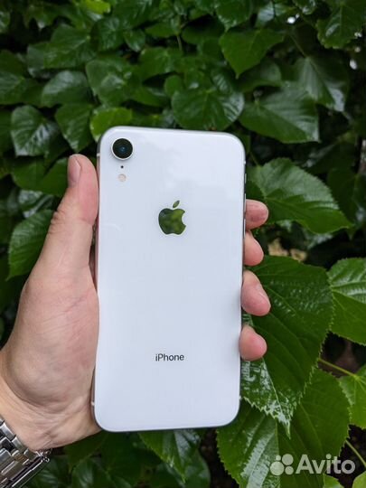 iPhone Xr, 256 ГБ