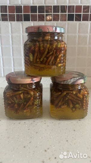 Молодые побеги сосны с медом