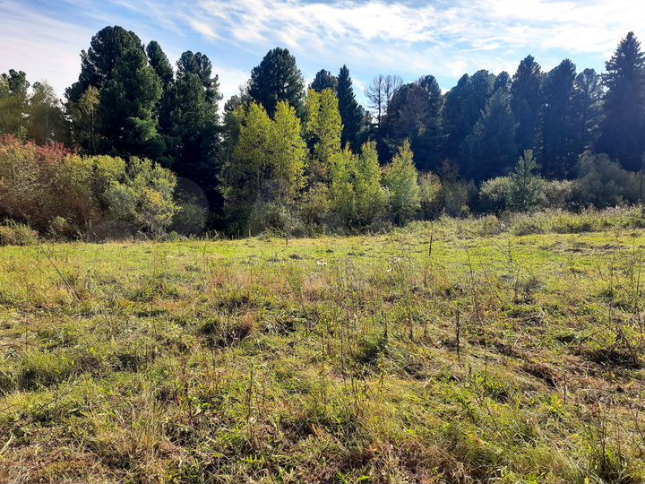 Участок 10 сот. (ИЖС)