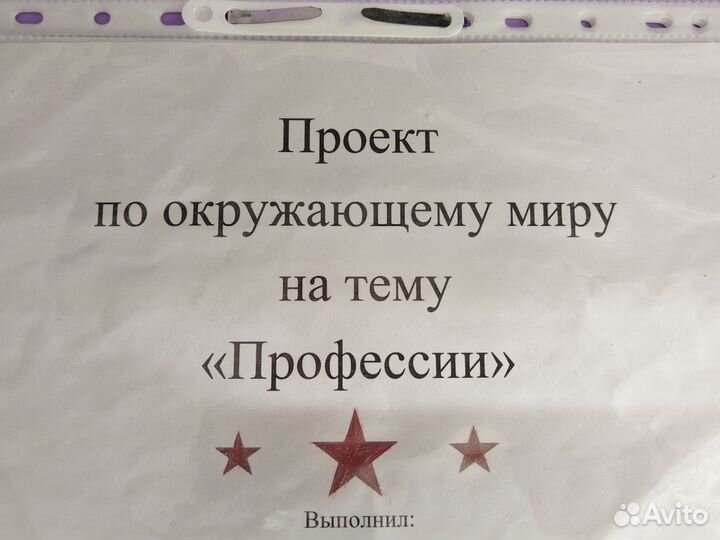 Окружающий мир 2 класс