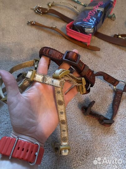 Амуниция для собак