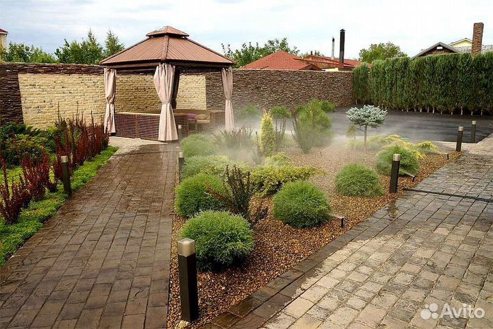 Туя шар Мистер Боулинг Бол 40-50см