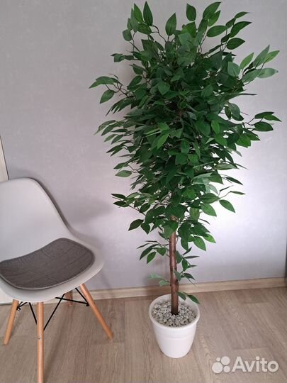 Искусственное дерево Фикус
