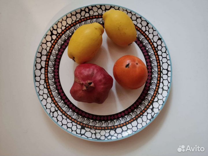 Блюдо, тарелка Ikea. 27 см. Португалия