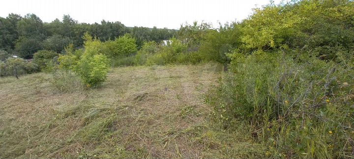 Участок 8 сот. (СНТ, ДНП)