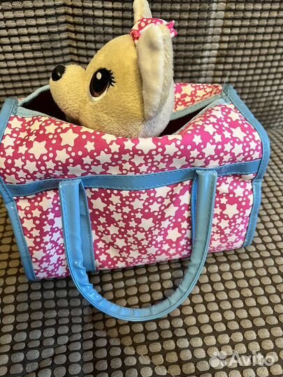 Собака чи чи лав