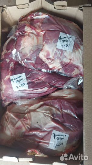 Продам мясо говядина задок, свинина лопатка шея